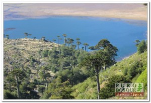 Atractivos Cercanos: Imagen de la Laguna Blanca y Valle de Araucarias