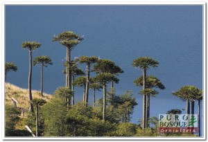Atractivos Cercanos: Imagen de la Laguna Blanca