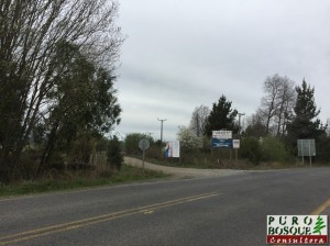 Vista desde el Cruce de acceso. En el camino en Dirección a Malalcahuello. A 4,9 km desde Curacautin