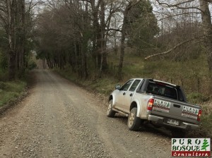 Camino en dirección a laguna Blanca
