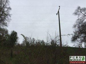 Tendido eléctrico y postes dentro las parcelas