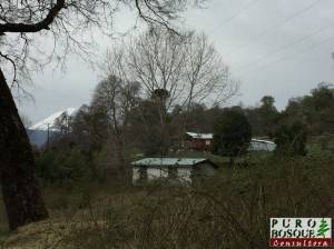Vista al Volcán Lonquimay (Mocho)